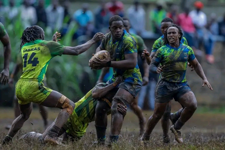 KCB seek redemption in Kenya Cup final against rivals Kabras Sugar